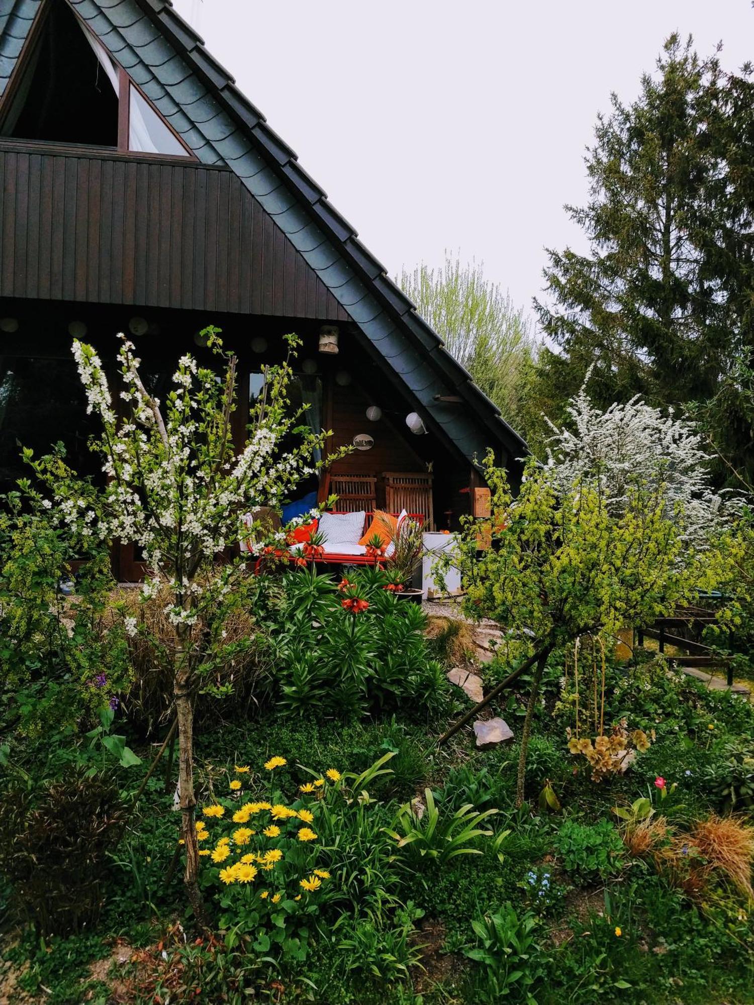 Haus 187 Freilingen Villa Blankenheim Kültér fotó